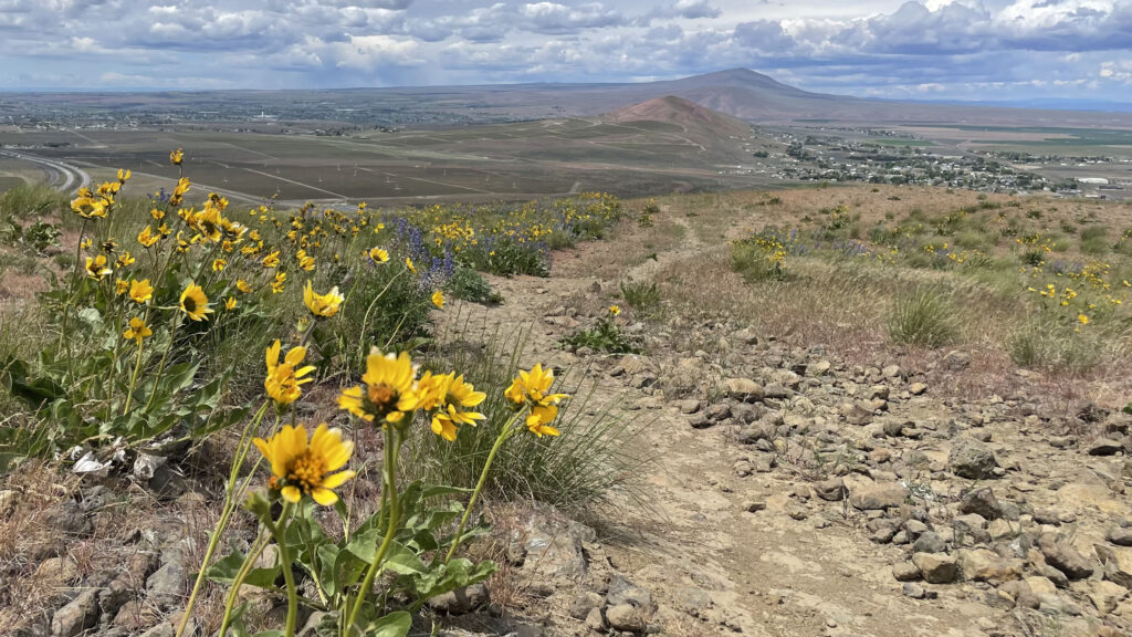 Candy Mountain Richland Washington Summit